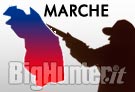 Tar Marche